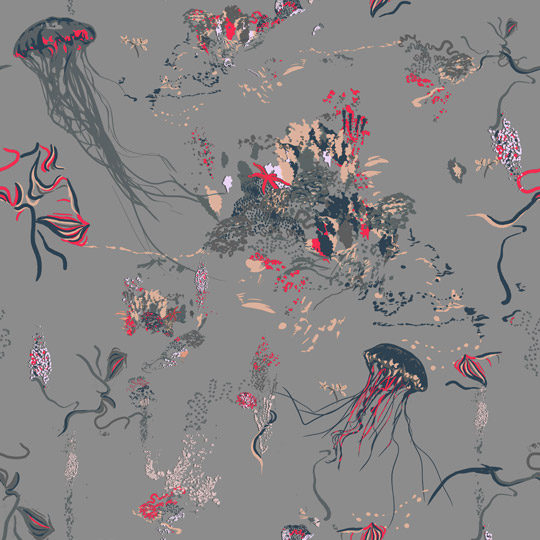 A01-JF-02_Jellyfish_Grey