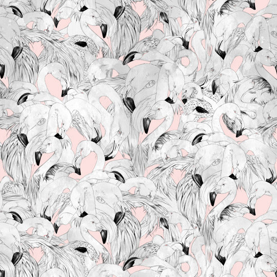 Flamingo Wallpaper Pink