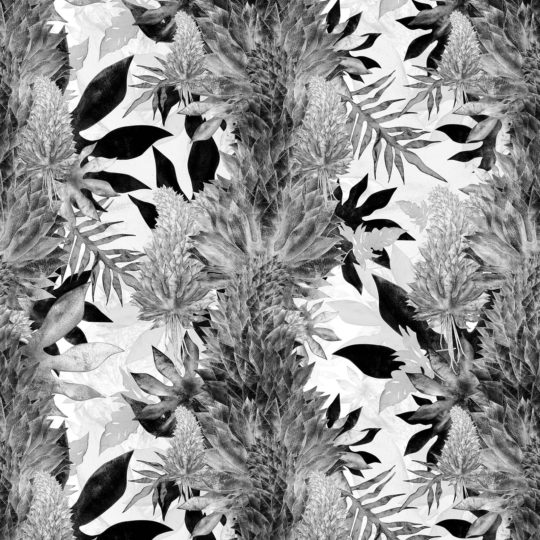 Kimolia Wallpaper Black