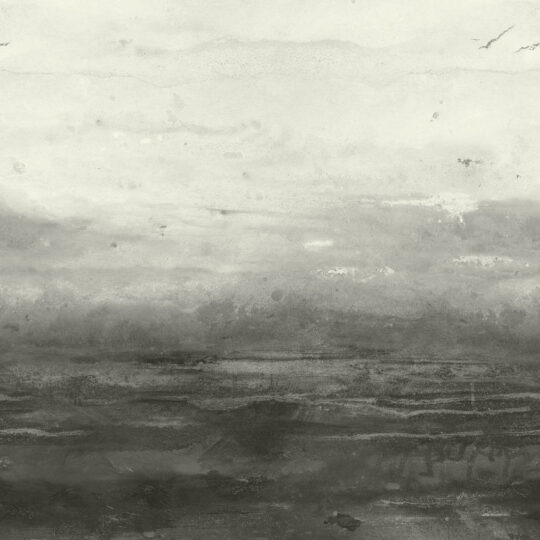 Morning Mist Wallpaper - Black